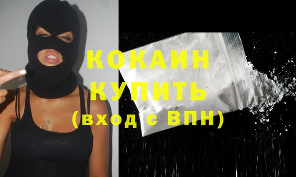 мдпв Осташков