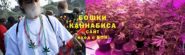 индика Уссурийск