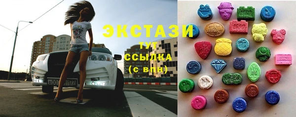 мдпв Осташков