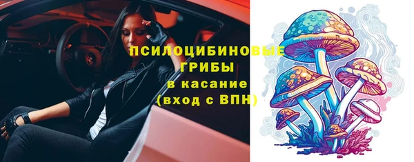 прущая мука Осинники