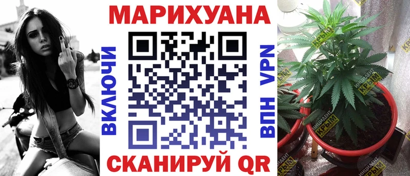 Конопля индика  купить наркоту  Руза 